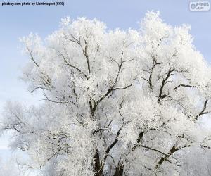 пазл Дерево с морозным покрытием